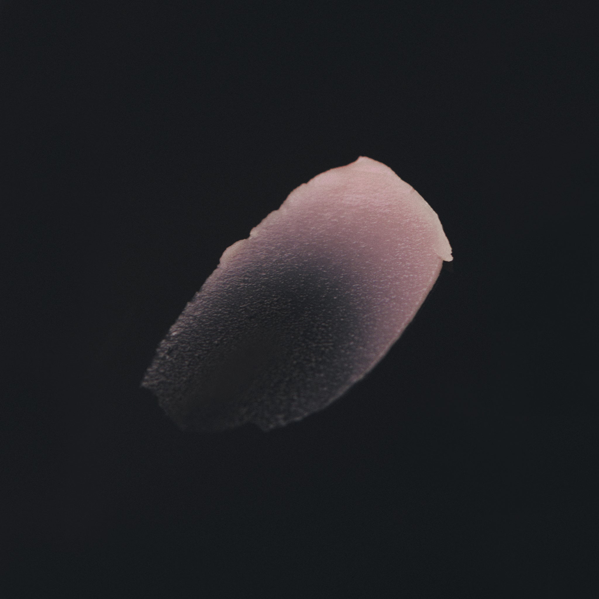 Auteur Superlative Sculpting Concentrate